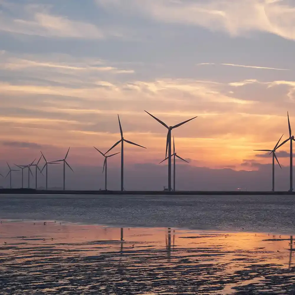 Energy transition and ESG strategy consulting for sustainable business transformation